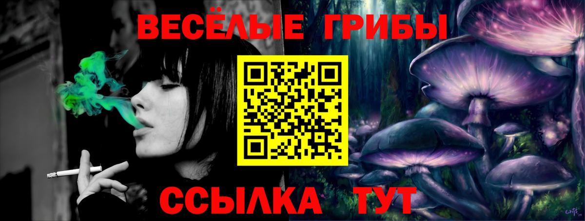 Псилоцибиновые грибы прущие грибы  Вход с VPN  Сертолово  Псилоцибиновые грибы Magic Shrooms 